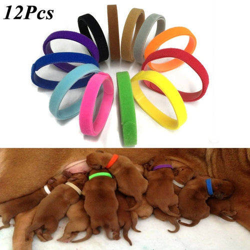 12 Pcs/Set Puppy Newborn Pets Identify Collars Adjustable Nylon Small Pet Dog Collars Kitten Necklace Whelping Puppy Collars