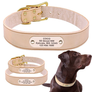 Personalized Dog Collar Velvet Leather Soft Custom Dog Collars Elegant Pet Collars for Pitbull Medium Large Dogs L XL