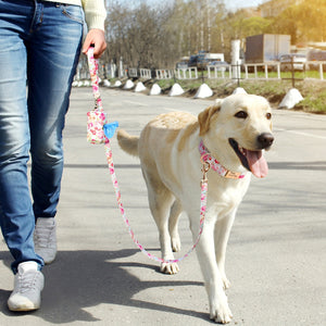 Flower Dog Collar Leash Set Custom Small Medium Large Dog Pet Collars Floral Print Nylon Dog Collars with Treat Bag Snack Bag
